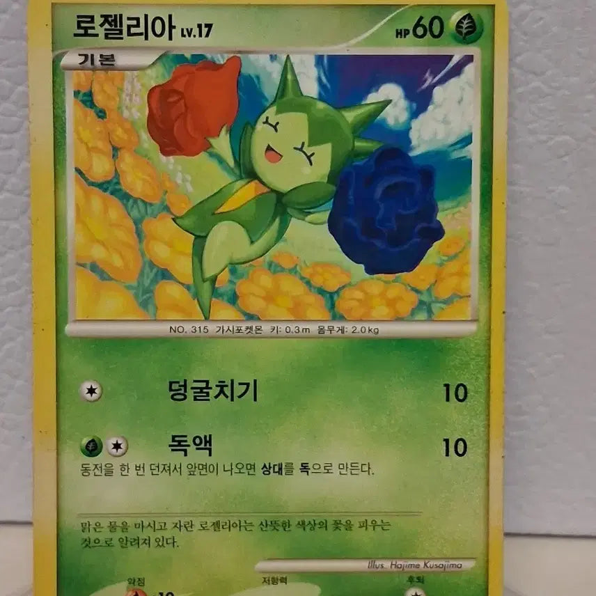 [BUNJANG] Pokemon Card 2010 DP Roselia LV.17 / 포켓몬카드 2010  DP 로젤리아 LV.17