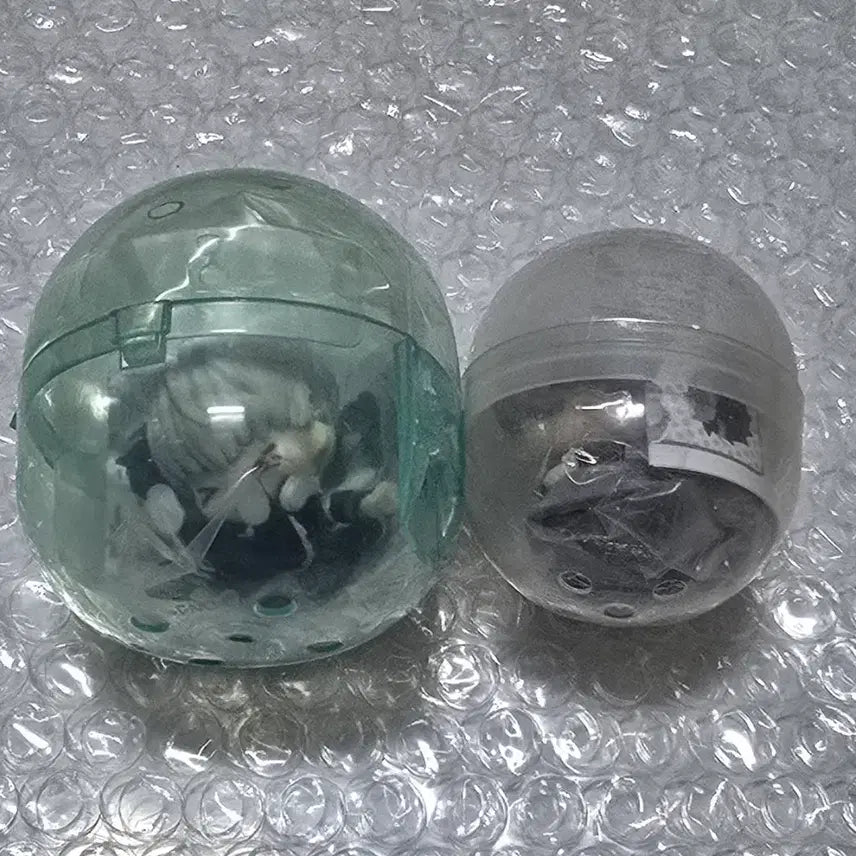 [BUNJANG] Winbre Kaji Ren "Kwadang Onemutan" Earth Color Gacha Set / 윈브레 카지 렌 꽈당 오네무탄 어스컬러 가챠 일괄