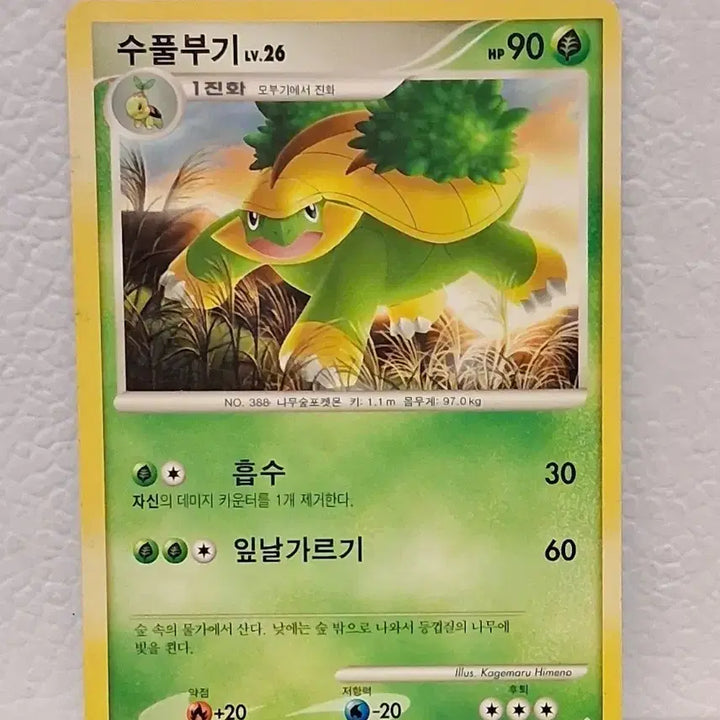 [BUNJANG] Pokemon Card DP Turtwig LV.26 / 포켓몬카드 2010 DP 수풀부기 LV.26