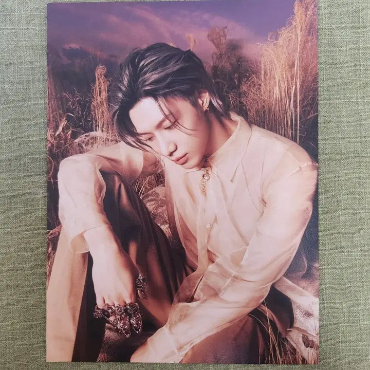 [BUNJANG] Taemin Photocard &amp; Holder / 태민 사진 + 폴더