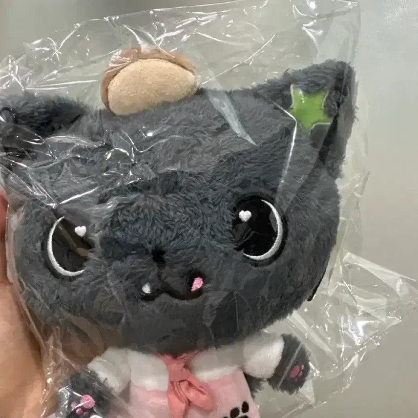 [BUNJANG] NCT WISH Bakery Popup Patissier Wishdoll Riku Kuri Sealed / 미개봉 엔시티 위시 베이커리 팝업 파티시에 위시돌 리쿠 쿠리 wish