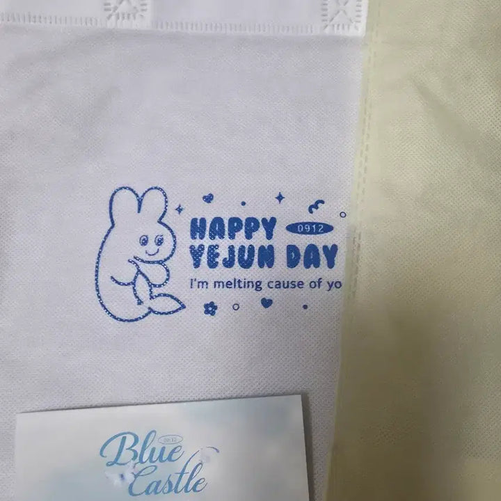 [BUNJANG] PLAVE Yejun Birthday Unofficial Merchandise Set / 플레이브 예준 생카 비공 굿즈 세트
