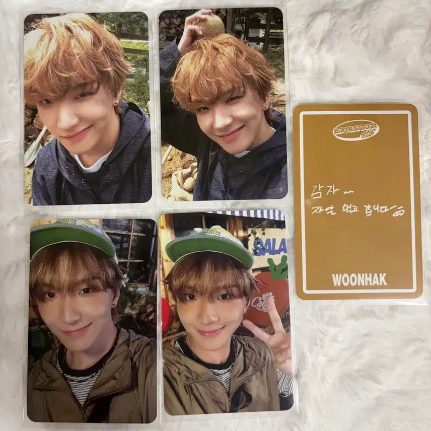 [BUNJANG] BOYNEXTDOOR 2026 Season&
