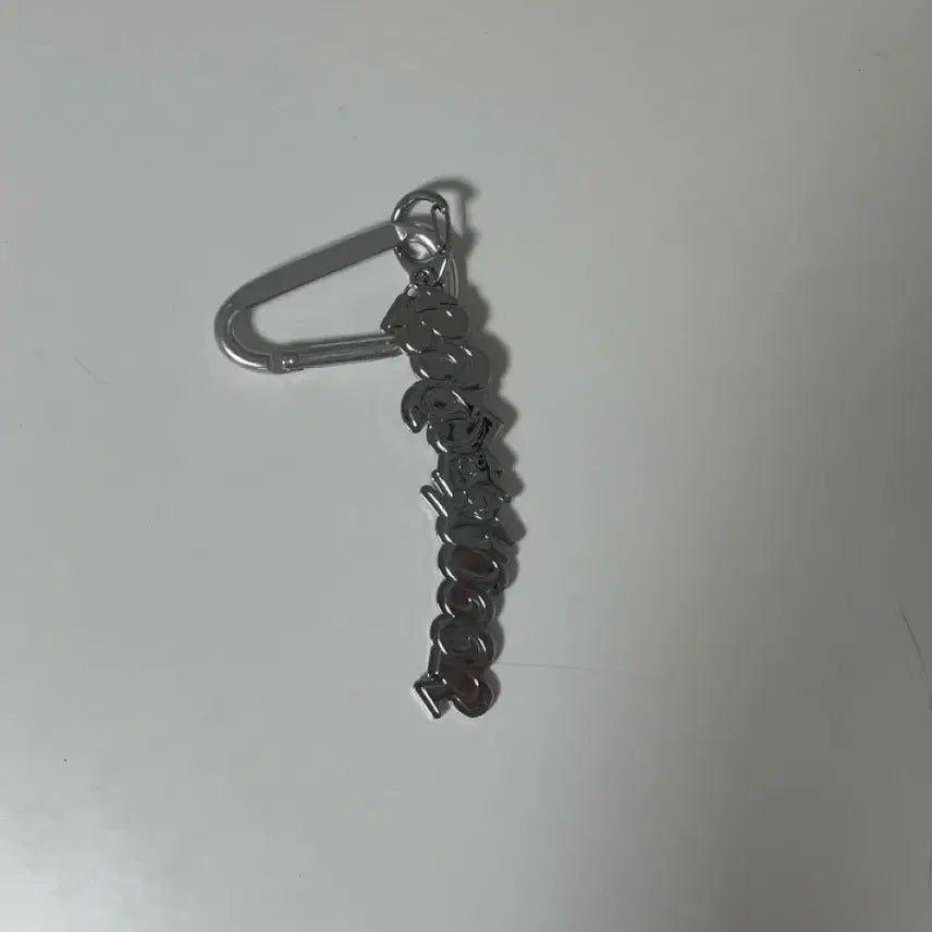 [BUNJANG] BOYNEXTDOOR Logo Keyring / 급처) 보이넥스트도어 보넥도 19.99 로고 키링