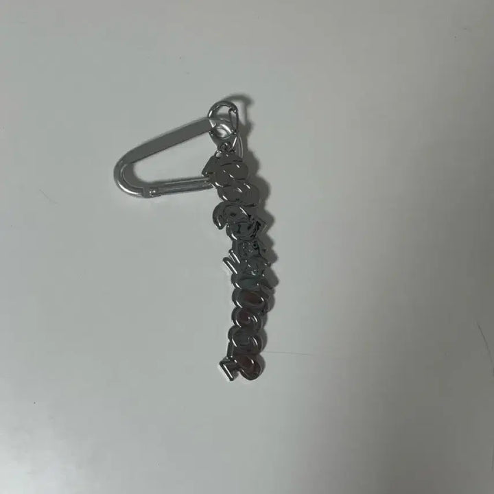 [BUNJANG] BOYNEXTDOOR Logo Keyring / 급처) 보이넥스트도어 보넥도 19.99 로고 키링