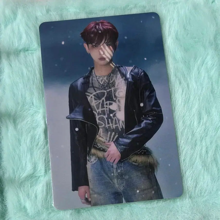 [BUNJANG] ENHYPEN Back to Life Tower Records Harua Photocard POB / 앤팀 백투라 타워레코드 하루아 포카 특전 양도 미공포