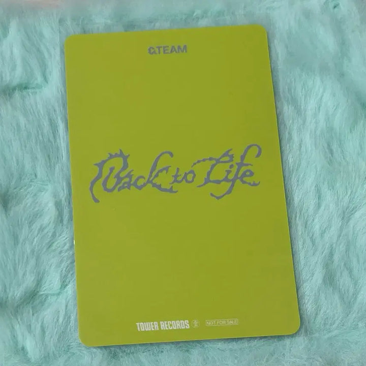 [BUNJANG] ENHYPEN Back to Life Tower Records Harua Photocard POB / 앤팀 백투라 타워레코드 하루아 포카 특전 양도 미공포