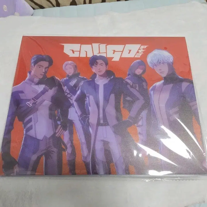 [BUNJANG] PLAVE Caligo 2 MD Ring Binder / 플레이브 칼리고2 MD 링 바인더 입니다.