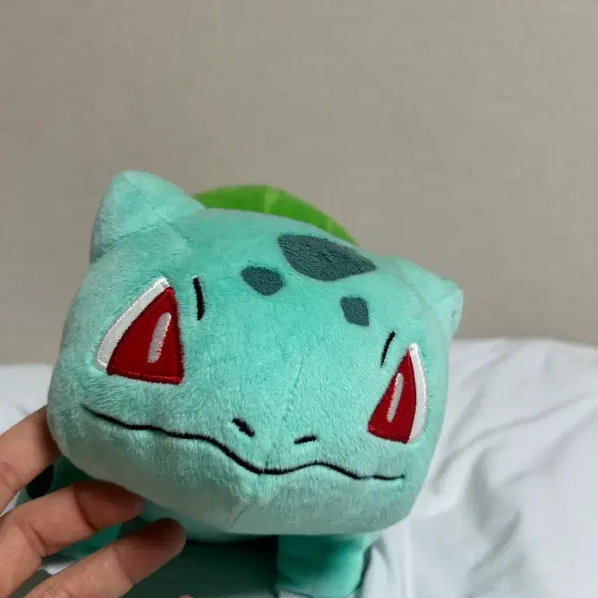 [BUNJANG] Pokemon Umbreon and Bulbasaur Doll Bundle Set / (일괄판매) 포켓몬스터 블래키 이상해씨 인형