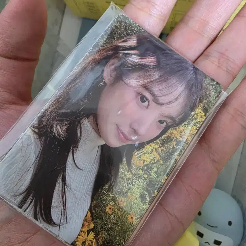 [BUNJANG] IU 2025 Season&