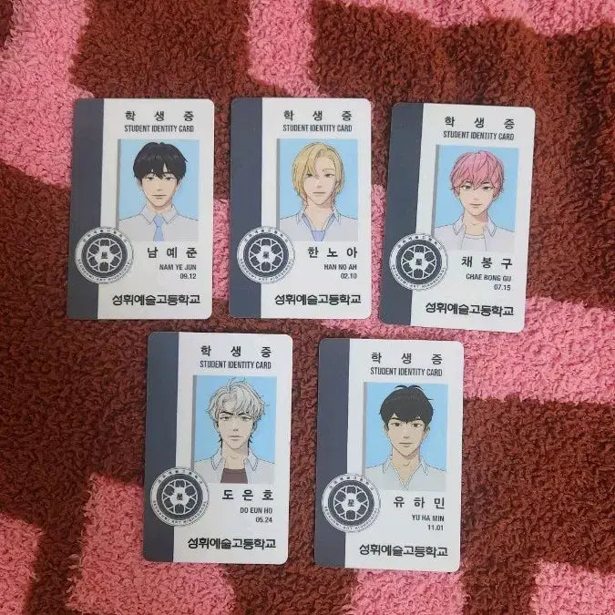 [BUNJANG] Pleiades Yu Yeoreum Student ID Set / 플레이브 육여름 학생증 세트