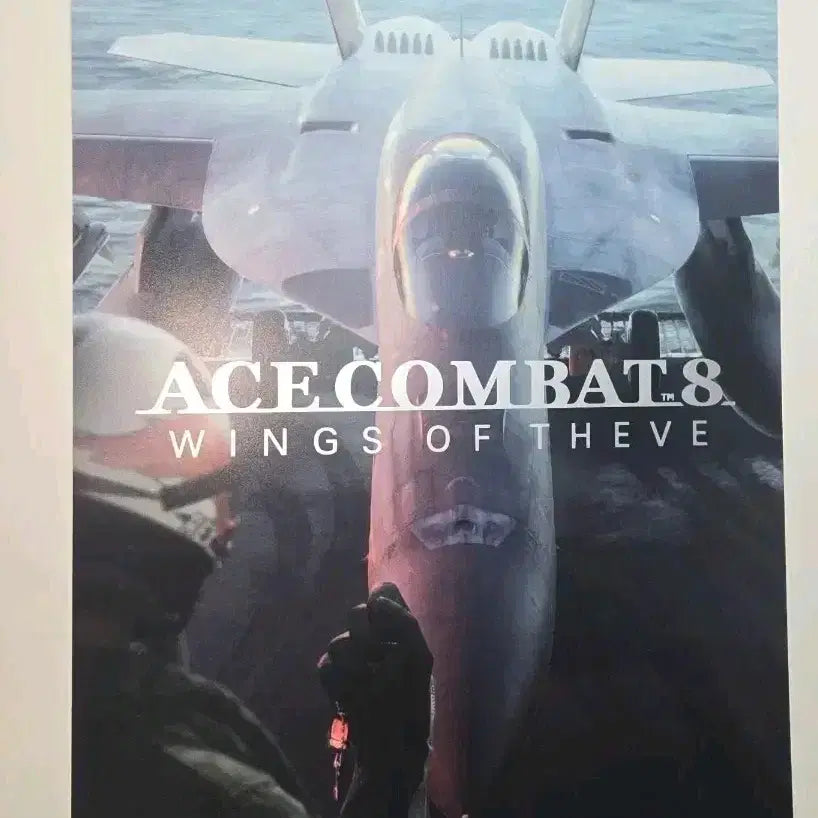 [BUNJANG] Ace Combat 8: Wings of the Enemy Special Poster Bonus Fun Expo Bandai Namco Exhibition Pop-up / 에이스 컴뱃 8: 시브의 날개특별 포스터 특전 펀 엑스포 반다이남코 전시회 팝업