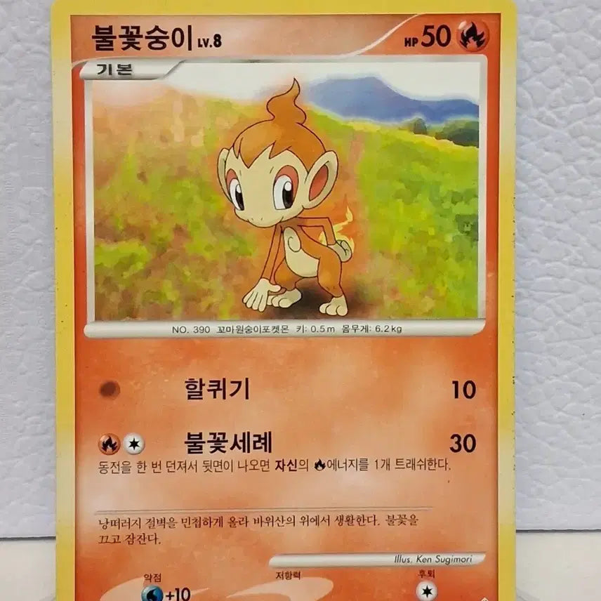 [BUNJANG] Pokemon Card 2010 DP Infernape 16/55 / 포켓몬카드 2010 DP 불꽃숭이 16/55