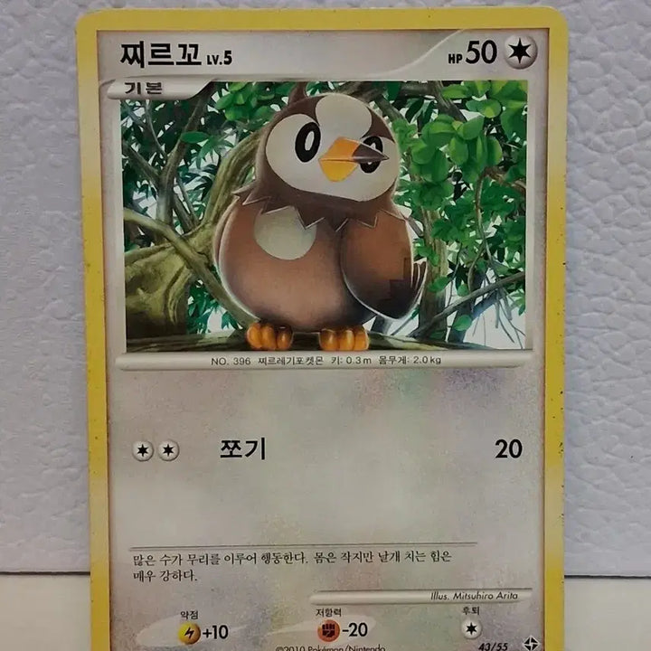 [BUNJANG] Pokemon DP 2010 Taillow LV.5 43/55 Trading Card / 포켓몬 카드 2010 DP 찌르꼬 LV.5 43/55
