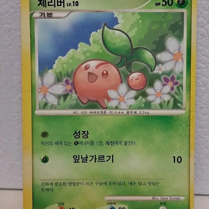 [BUNJANG] Pokemon Card 2010 DP Cherubi LV.10 08/55 / 포켓몬카드 2010 DP 체리버 LV.10 08/55