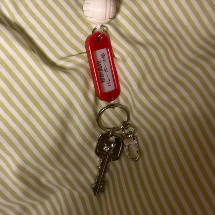 [BUNJANG] Haikyuu Nekoma Keychain / 하이큐 부실 키링 네코마