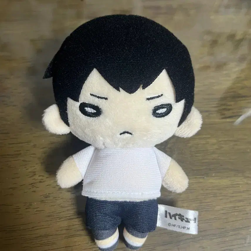 [BUNJANG] Haikyuu!! Kageyama Tobio Training Camp Nitotan Plush / 하이큐 카게야마 토비오 합숙 니토탄