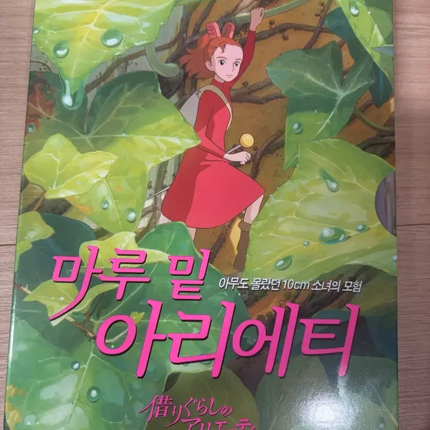 [BUNJANG] Studio Ghibli Arrietty The Secret World of Arrietty DVD Unsealed / 마루밑아리에티 DVD 지브리 (미사용 개봉)
