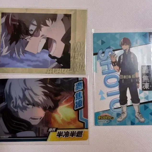 [BUNJANG] My Hero Academia Todoroki Shoto Photocard / 나히아 히로아카 토도로키 포카