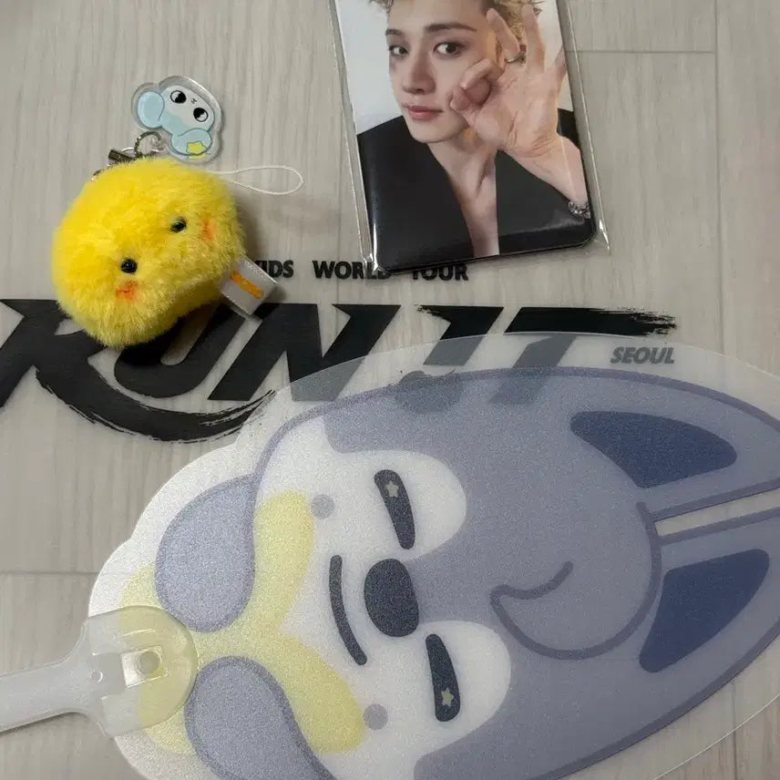 [BUNJANG] Stray Kids Concert Entrance Gift MAMMAMIA Day 5 Full Set Bundle / 스키즈 콘서트 입장 기프트 막막 day5 풀셋 일괄 양도 스트레이키즈 8/2 5일차 full set