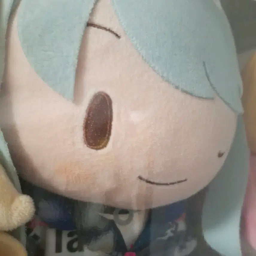 [BUNJANG] Project SEKAI Hatsune Miku FuwaPuChi Plush Doll L Size / 프세카 프로젝트 세카이 비배스 하츠네 미쿠 후와푸치 인형 누이 L사이즈