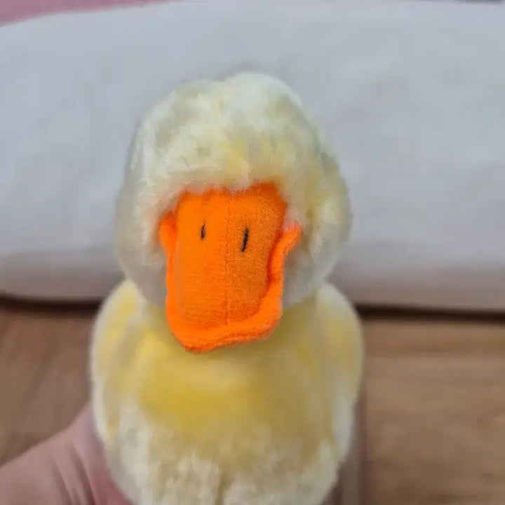 [BUNJANG] Cute Duck Plush Toy / 오리인형