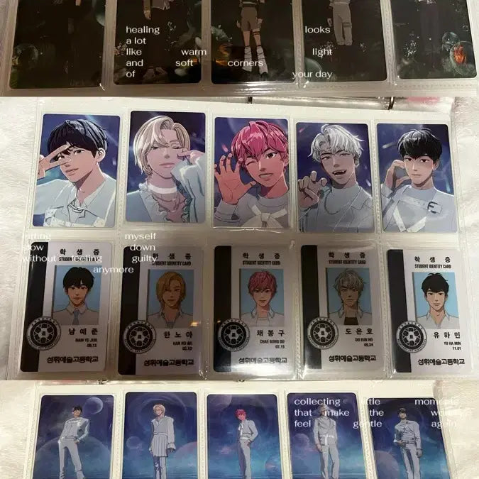 [BUNJANG] PLAVE Bundle Set Photocard / 플레이브 포카 일괄 판매