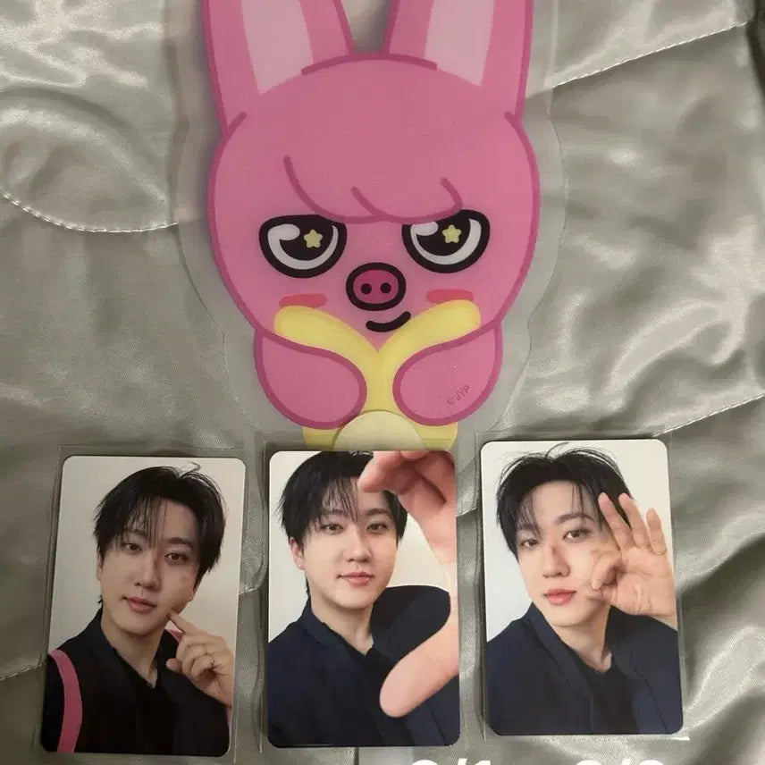 [BUNJANG] Stray Kids Changbin Dwaekki Fan + Photocard Bundle Set / 최저가) 스키즈 런잇 입장 기프트 창빈 돼끼 부채+창빈 포카 3장 일괄