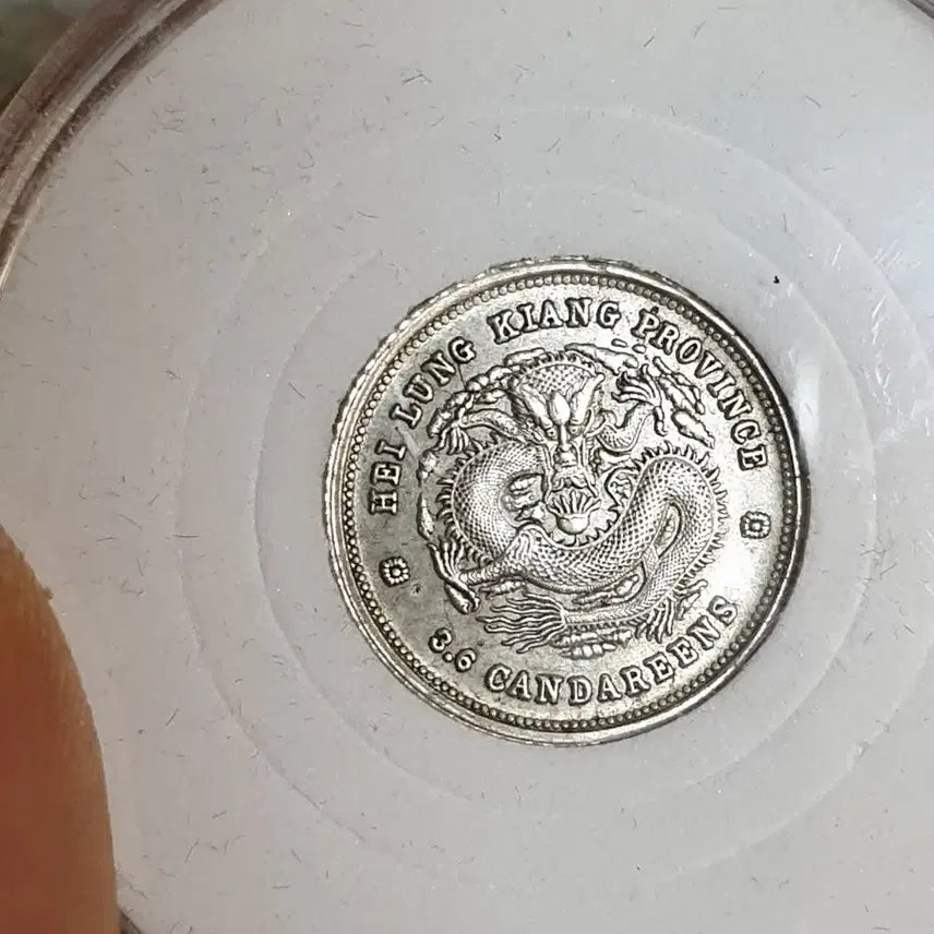 [BUNJANG] Collection of Foreign Coins: Chinese, Classic, Modern, Gold, Silver / ㅈ10.해외동전.중국동전.외국동전.고전주화.근대주화.골동품.금화.은화