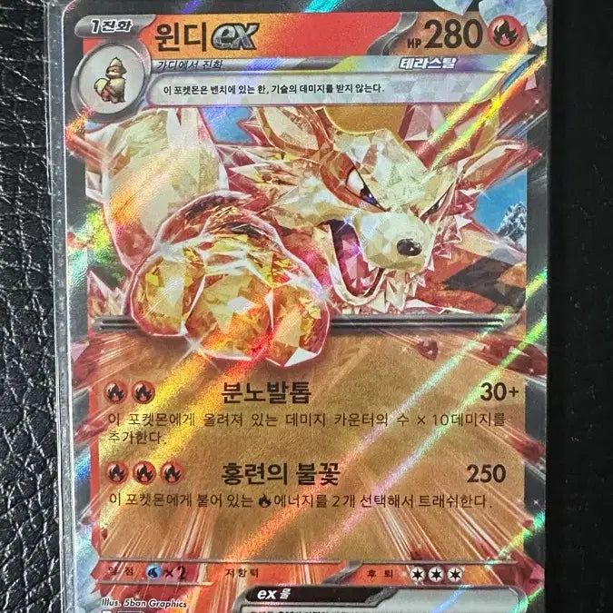 [BUNJANG] Pokemon Card Arcanine EX RR (10 Card Bundle) / 포켓몬카드 윈디EX RR