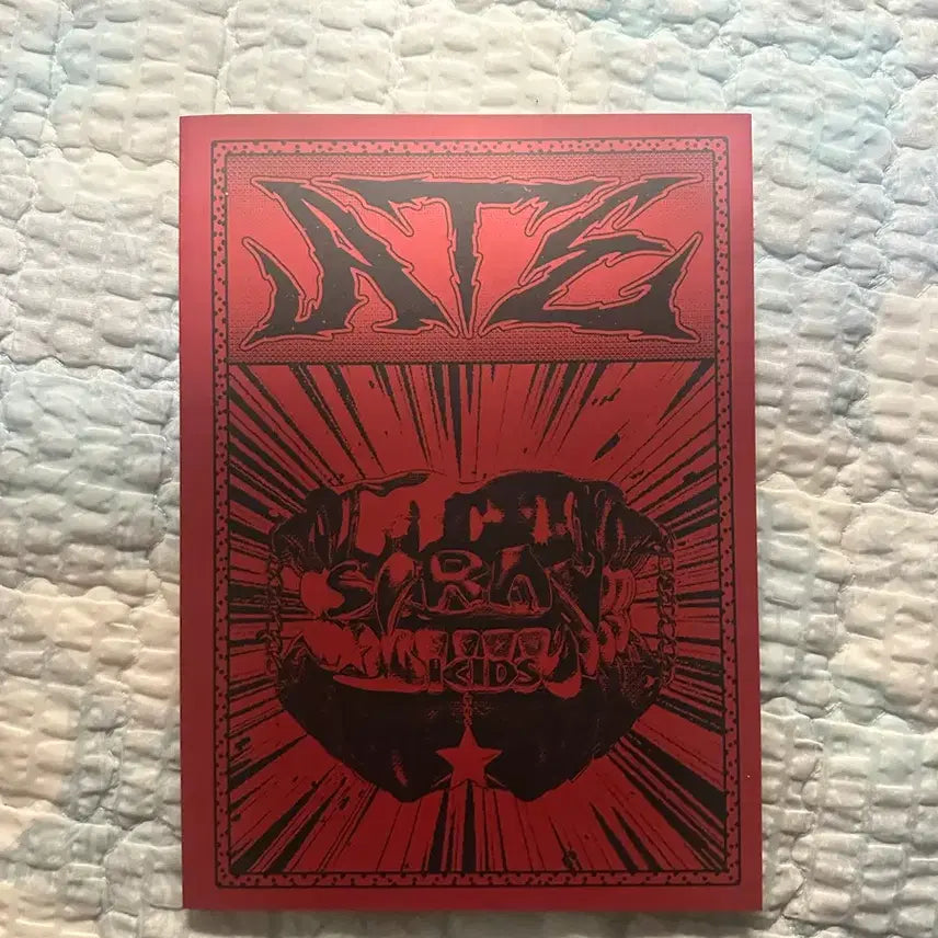 [BUNJANG] Stray Kids ATE Album I.N Photocard / 스키즈 ATE앨범