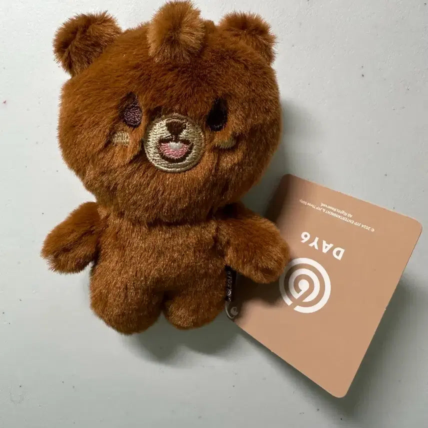 [BUNJANG] Day6 Young K Bang Sungjin Doll / 데이식스 쁘멀 방 성진