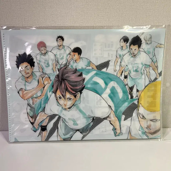 [BUNJANG] Haikyuu!! Aoba Johsai Jump Shop Clear File / 하이큐 아오바죠사이 클리어 파일 원화 점프샵