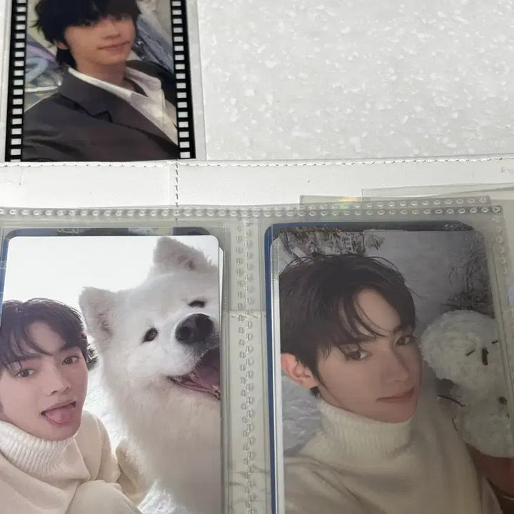 [BUNJANG] TWS Dohoon Youngjae Jihoon Shinyu Photocard Bundle Set / 투어스 도훈 영재 지훈 신유 포토카드 일괄 판매