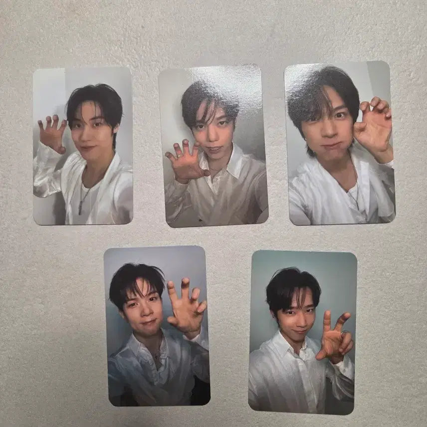 [BUNJANG] Npia Zone Final Concert Bundle Set Photocards / 엔피아존 막콘 포카 일괄 양도해요