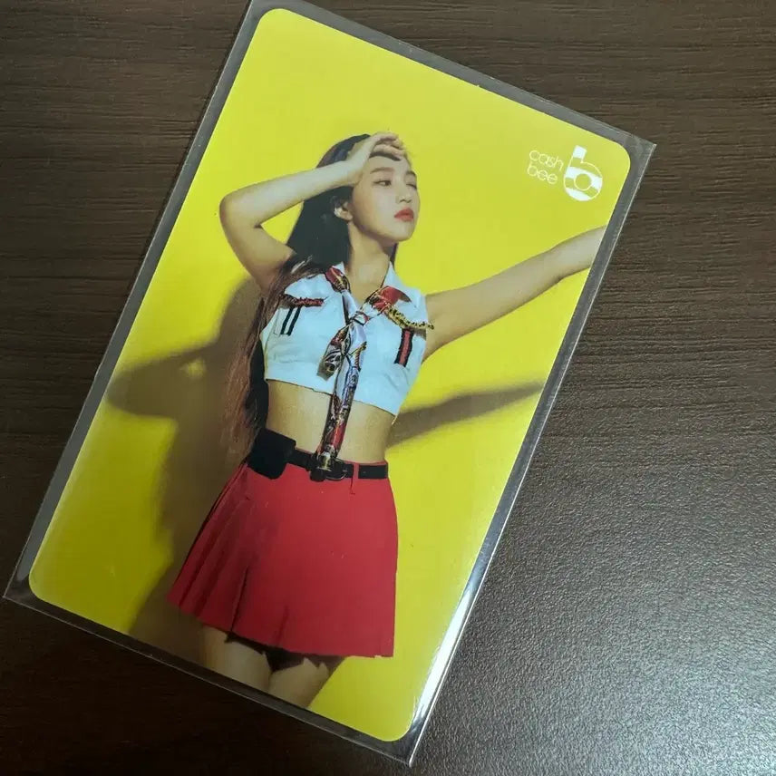 [BUNJANG] Red Velvet Joy Casavy Transport Card / [판매] 레드벨벳 조이 캐사비 교통카드