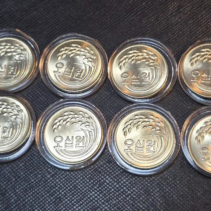 [BUNJANG] 1978 South Korea 50 Won Coin - Unused, Top Condition (8 pcs Bundle) / 한국은행 1978년 50원 동전 미사용 상급 8개 일괄