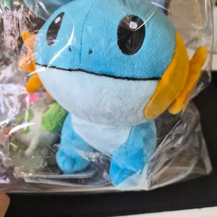 [BUNJANG] Pokemon Center Mudkip Plush / 포켓몬센터 물짱이 봉제인형