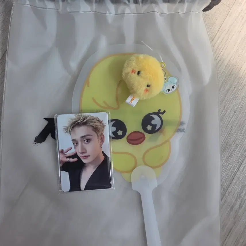[BUNJANG] Stray Kids Middle Concert Photocard / 스트레이키즈 중콘 포카