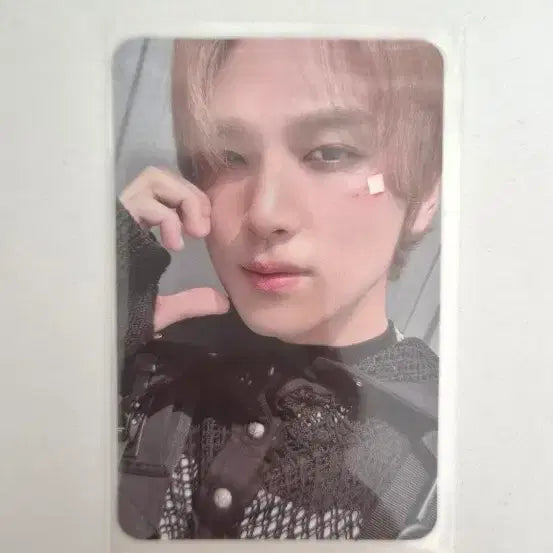 [BUNJANG] Haechan Fact Check Photocard / (급전)팩트체크 해찬