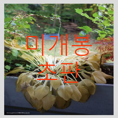 [BUNJANG] Hyukoh "Love Poem" Limited Edition First Press CD (Sealed) / [미개봉 초판] 혁오 (Hyukoh) - 사랑으로 (CD)