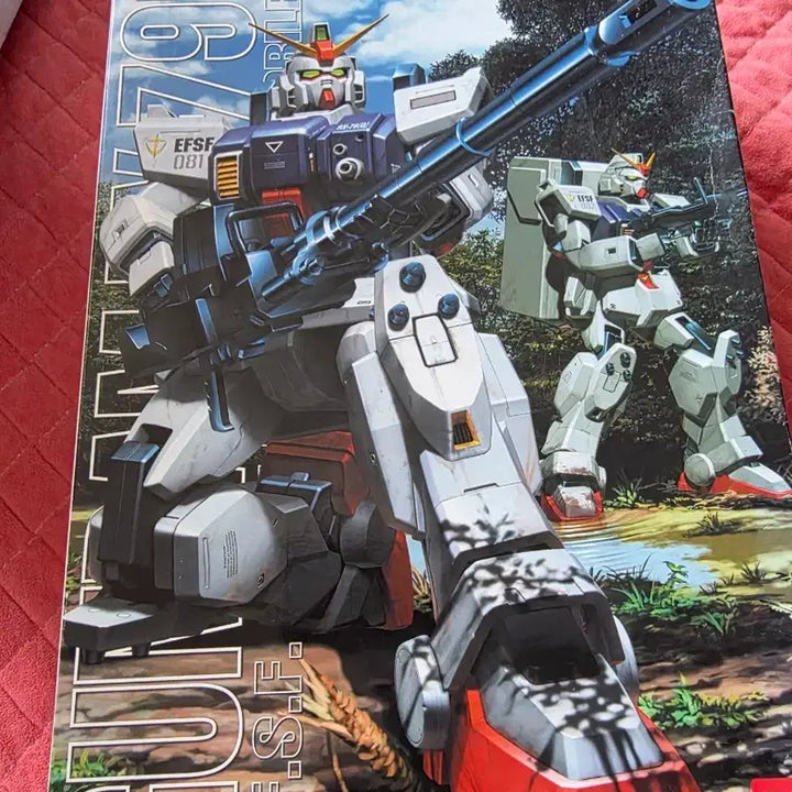 [BUNJANG] Bandai MG Gundam RX-79[G] E.F.S.F. 081 Plastic Model Kit / 반다이 MG 건담 RX-79[G] E.F.S.F. 081