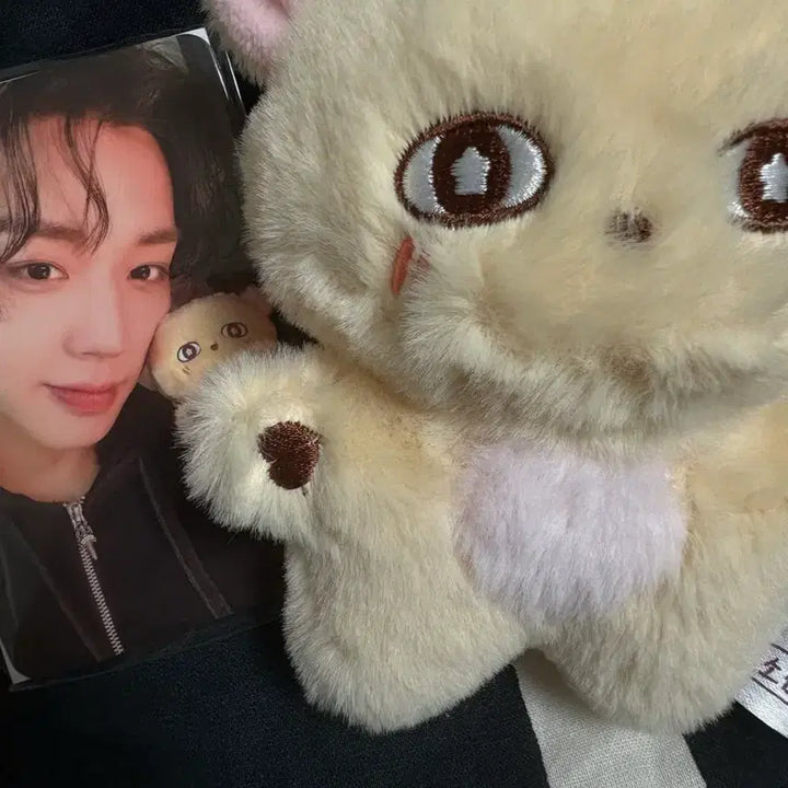 [BUNJANG] Park Ji Hoon Bosimi Doll Photocard Bundle Set / 박지훈 소심이 인형