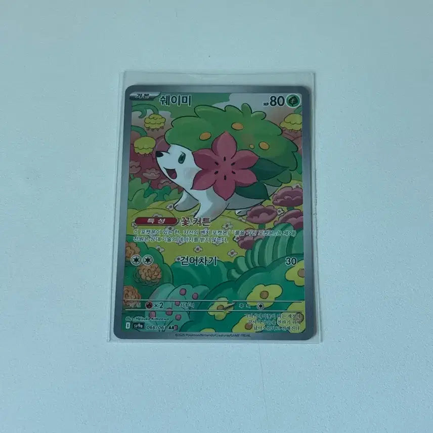 [BUNJANG] Pokemon TCG Shaymin 066/063 AR Card / 포켓몬카드 쉐이미 066/063 AR