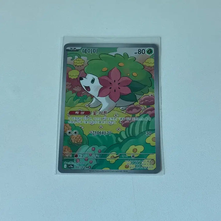 [BUNJANG] Pokemon TCG Shaymin 066/063 AR Card / 포켓몬카드 쉐이미 066/063 AR