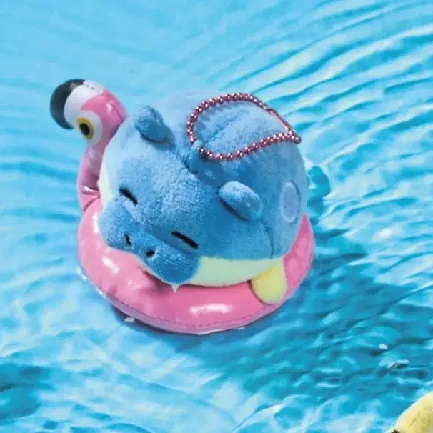[BUNJANG] Pokemon Pop-up Tube Mascot Gachapon Diglett / 포켓몬 팝업 튜브 마스코트 가챠 대굴레오