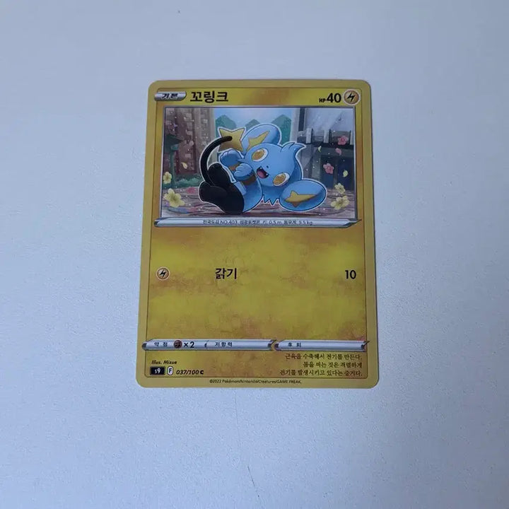 [BUNJANG] Pokemon Card Shinx 037/100 / 포켓몬카드 꼬링크 귀여운 카드 037/100