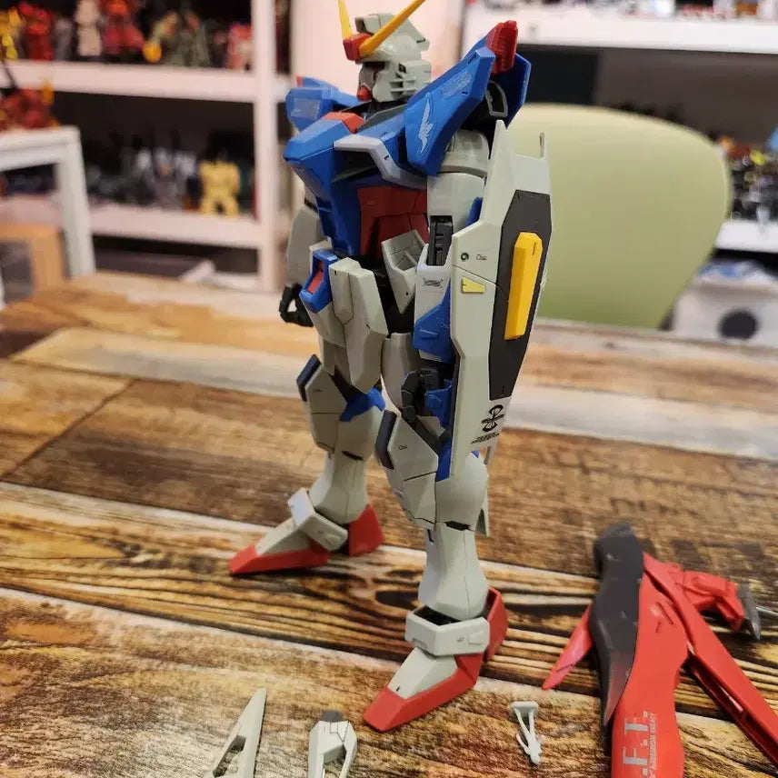 [BUNJANG] MG Destiny Gundam Model Kit / MG 데스티니 건담