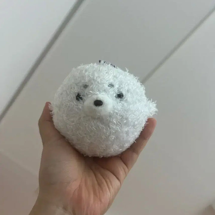 [BUNJANG] Amuse Seal Plush Keychain / 어뮤즈 물개 인형 키링