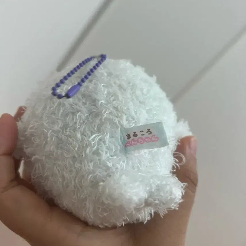 [BUNJANG] Amuse Seal Plush Keychain / 어뮤즈 물개 인형 키링